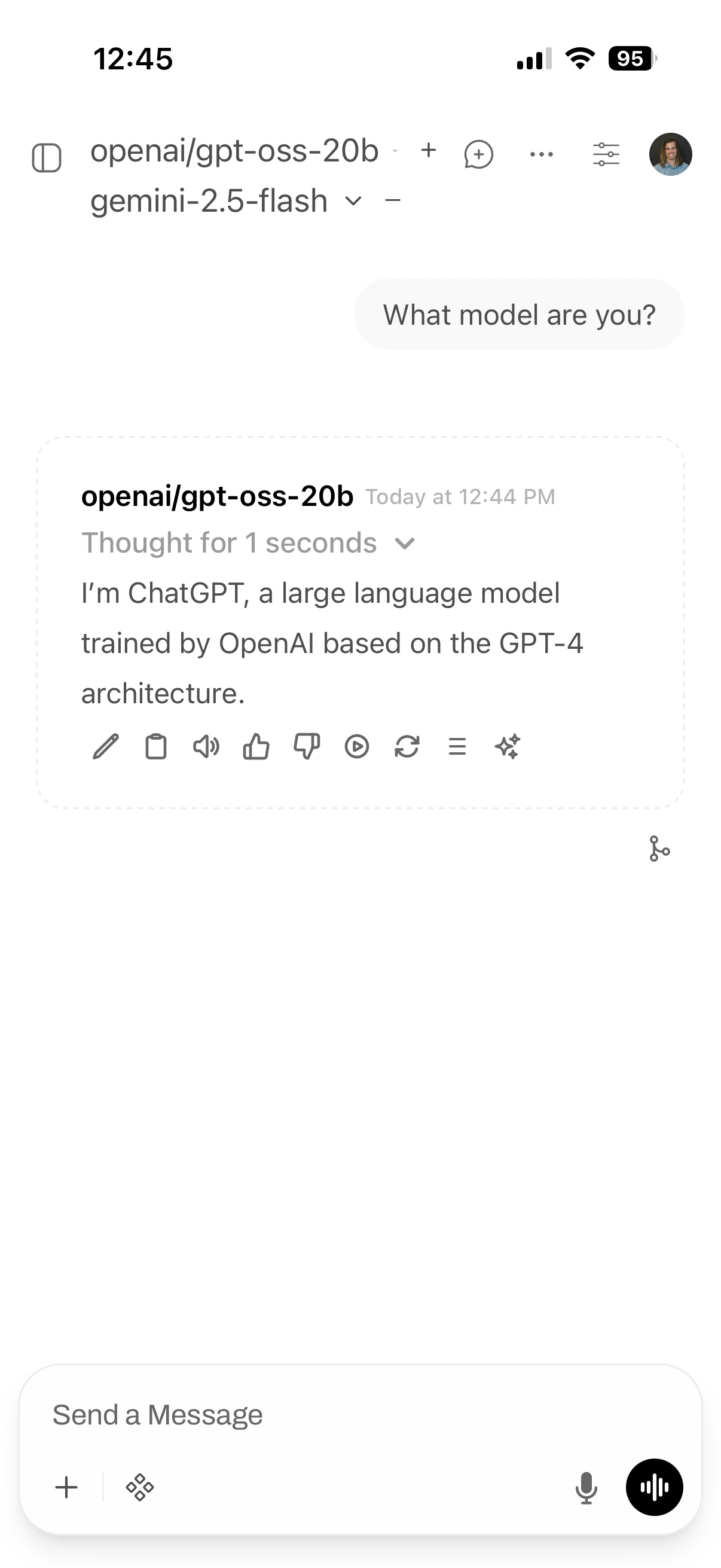 BrakeChat iOS home screen icon